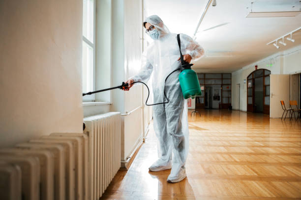 Best Pest Control for Restaurants  in Chicago Heights, IL